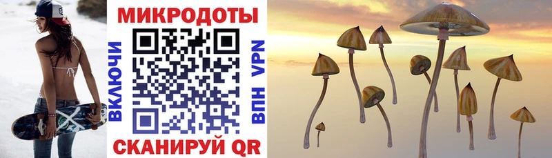 Купить где  Байкальск  Псилоцибиновые грибы Psilocybe 
